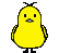 piyo_kichi